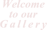 Welcome to our Gallery